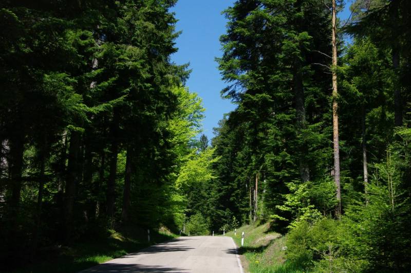 1584953034-camping-rehmuhle-zwarte-woud-duitsland-2.jpg